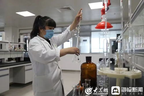 聊城市产品质量监督检验所党支部 党建引领铸匠心 筑牢检验检测服务基石