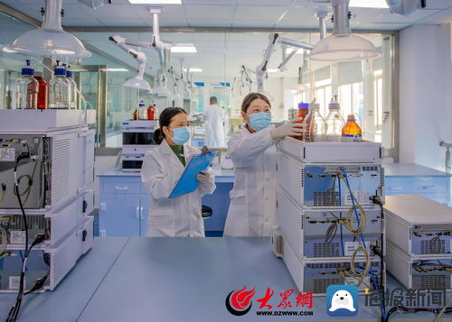 临沂市两案例获评全省检验检测服务促进经济社会创新发展优秀案例